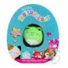 Squishmallow Micro Mallow Wendy The Frog Collector's Tin 2 Squishmallow Micro Mallow Wendy The Frog Collector's Tin -OWL AND GOOSE GIFTS Shop squishmallow collectors tin wendy the frog 952256